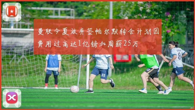 曼联今夏放弃签帕尔默转会计划因费用过高达1亿镑加周薪25万