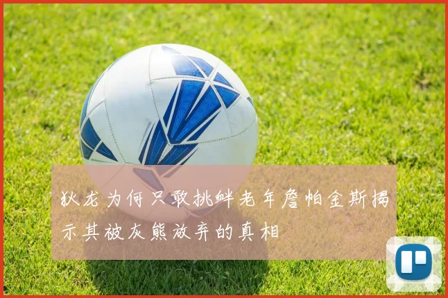 狄龙为何只敢挑衅老年詹帕金斯揭示其被灰熊放弃的真相