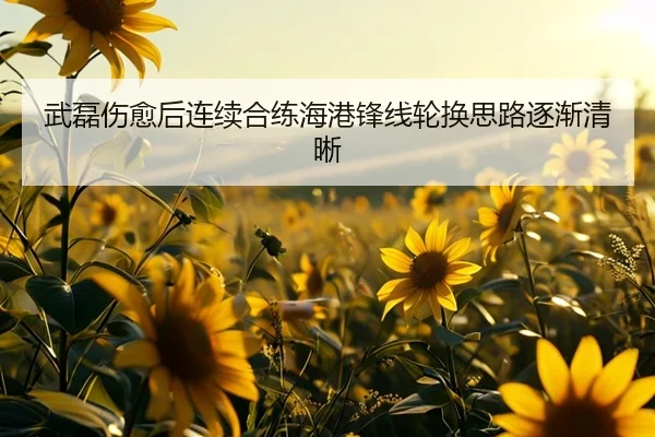 武磊伤愈后连续合练海港锋线轮换思路逐渐清晰（zosprt）